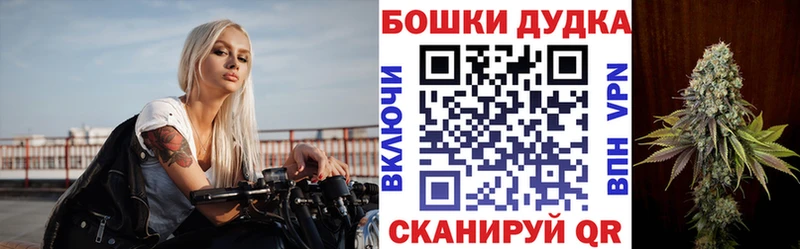 Что такое Сычёвка Галлюциногенные грибы  Героин  Кокаин 