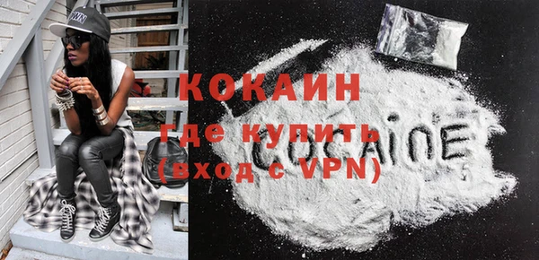гашик Сосновый Бор