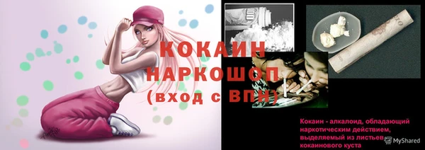 гашик Сосновый Бор