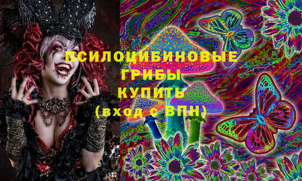 МДПВ Белокуриха