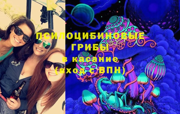 гашик Сосновый Бор